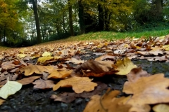 DSCF1327