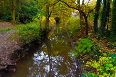 DSCF1377