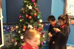 IMG-1569
