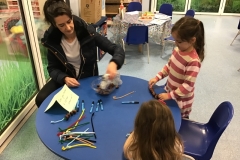IMG-1310